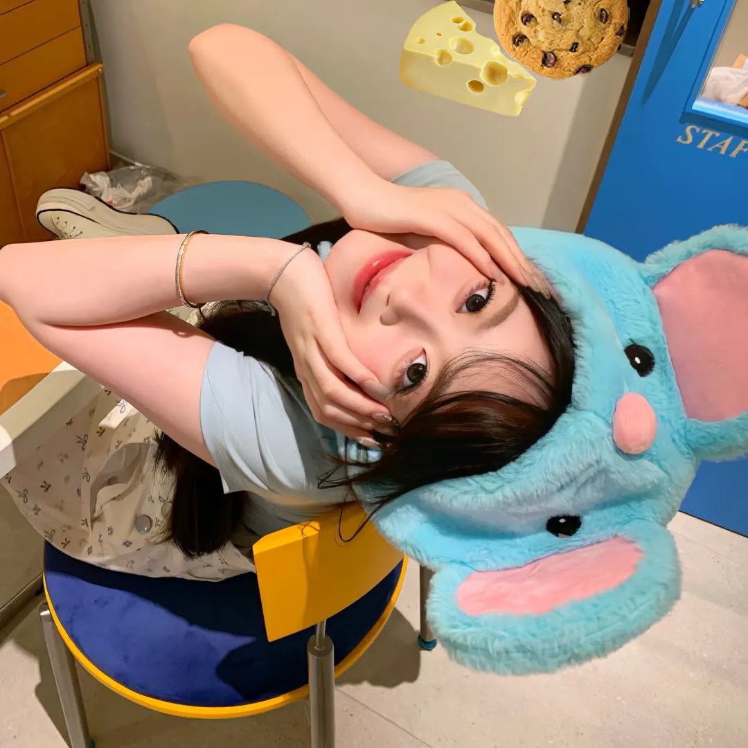 消失的白鼠 海报