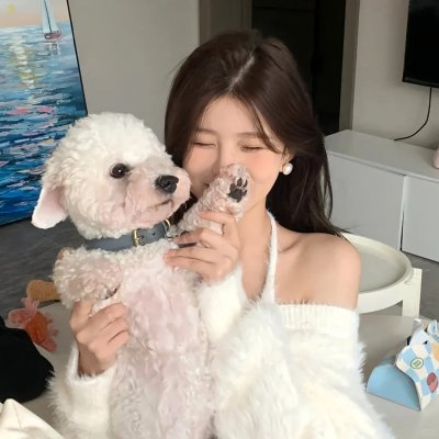 侠医粤語 海报